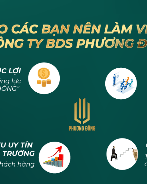 Top 5 Lý Do Bạn Nên Làm Việc Tại Công Ty Bds Phương Đông Corp (1) Top 5 Lý Do Bạn Nên Làm Việc Tại Công Ty Bds Phương Đông Corp (1)