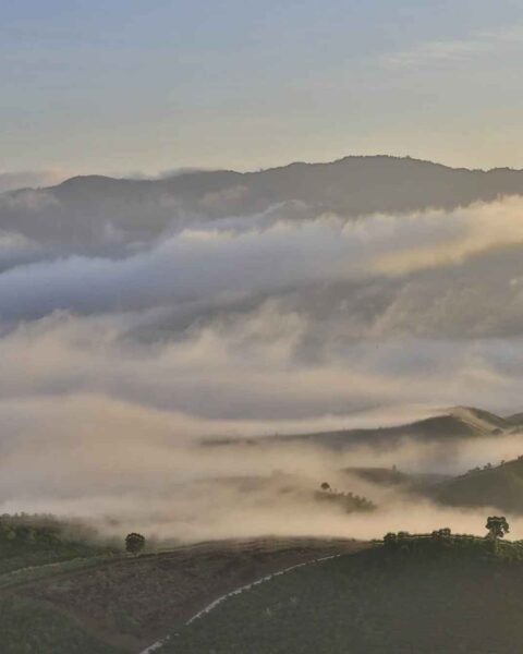 Du lịch bảo lộc có gì mà nhiều khách du lịch hiện đang kéo nhau tìm tới (1) Du lịch bảo lộc có gì mà nhiều khách du lịch hiện đang kéo nhau tìm tới (1)