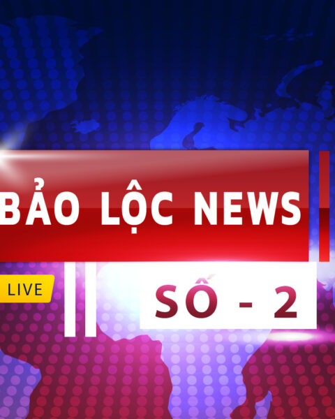 BẢN TIN THỊ TRƯỜNG BẢO LỘC NEWS SỐ 2 BẢN TIN THỊ TRƯỜNG BẢO LỘC NEWS SỐ 2