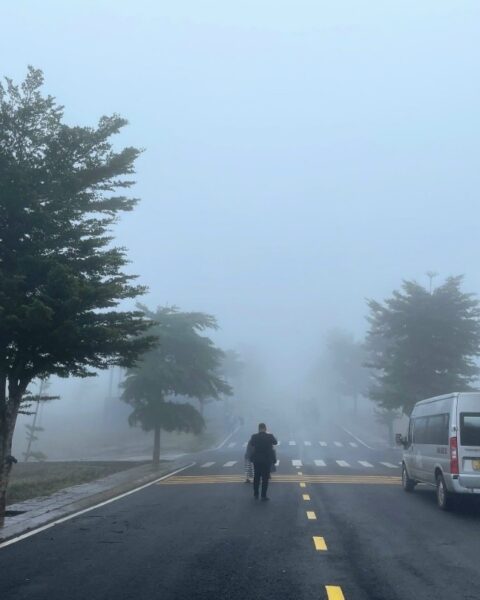 Diễn biến đất nền Bảo Lộc trong giai đoạn nửa cuối năm 2023 (2)