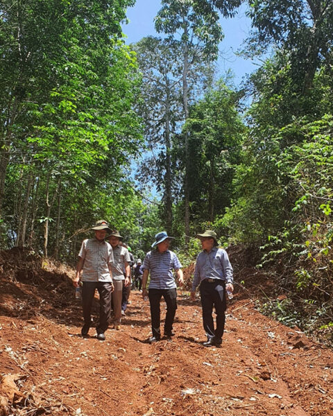 Dự án cao tốc Tân Phú-Bảo Lộc Phải trồng rừng thay thế hơn 324 ha (2)