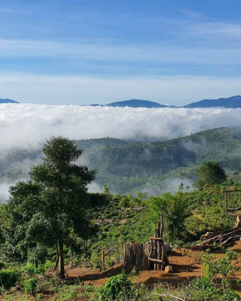 Thị trường bất động sản Lâm Đồng đang sôi động trở lại