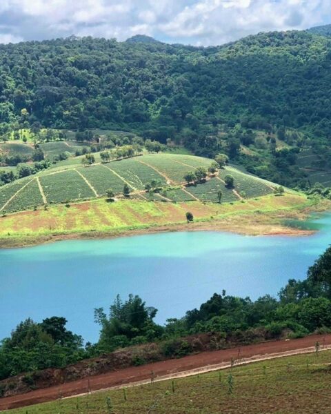 Thị trường bds Bảo Lộc Cơ hội và thách thức vào 6 tháng cuối năm (1)